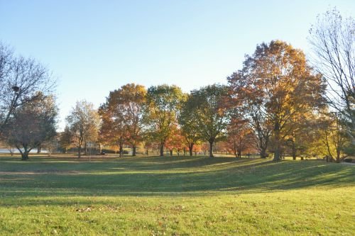DSC_0675.jpg