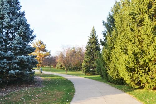 Walking Paths 2020